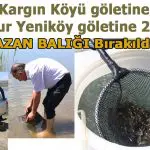 Su Kaynaklarımız Yavru Sazanlar İle Buluşturuluyor…