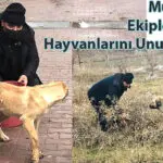 Mucur Vefa Ekipleri Sokak Hayvanlarını Unutmuyor…