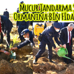 Mucur Jandarma Şehitler Ormanına Bin Fidan Dikildi
