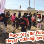 Mucur’da “Bir Fidan, Bir Hayat” etkinliği gerçekleşti